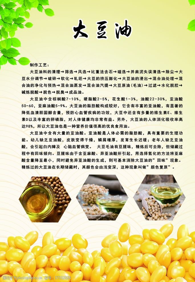 最新豆油精炼技术，背景、发展与时代地位概述