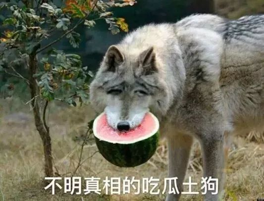 狼镝最新